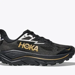 Women's Challenger 8 - 1168717-BKGD